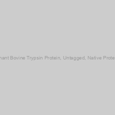 Image of Recombinant Bovine Trypsin Protein, Untagged, Native Protein-100mg